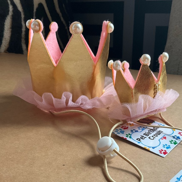 Pet Birthday Crown. Small - Picture 4 of 6